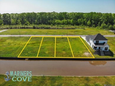 (private lake, pond, creek) Lot For Sale in Maurepas Louisiana