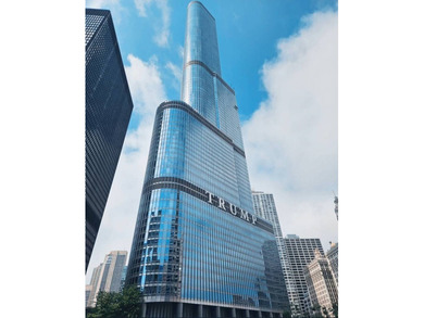 Lake Michigan - Cook County Condo For Sale in Chicago Illinois