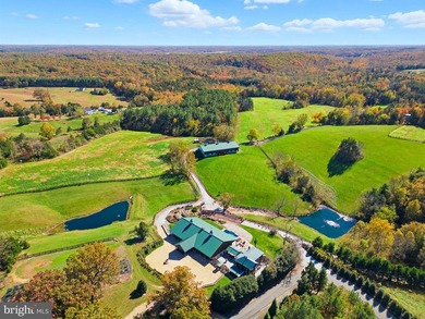 Charlottesville Area Lodge - Guesthouse - Barndominium Winery - photo 14