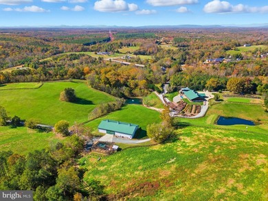 Charlottesville Area Lodge - Guesthouse - Barndominium Winery - photo 16