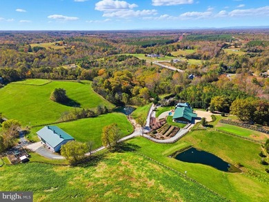 Charlottesville Area Lodge - Guesthouse - Barndominium Winery - photo 17
