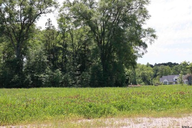 Lake Lot For Sale in Bullard, Texas