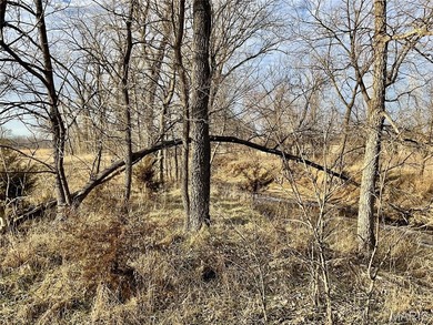 (private lake, pond, coastal) Acreage For Sale in Greentop Missouri