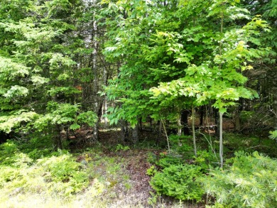 Lake Lot For Sale in Lee, Maine