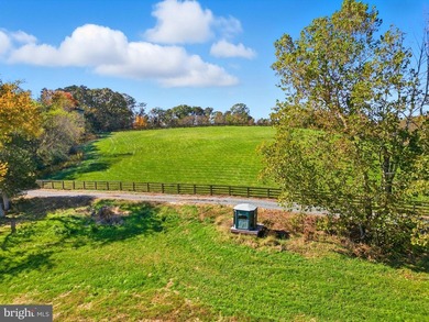 Charlottesville Area Lodge - Guesthouse - Barndominium Winery - photo 23