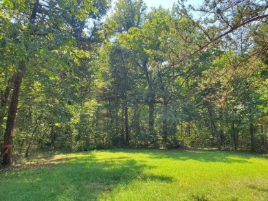 Lake Acreage For Sale in Warsaw, Missouri