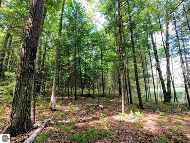 Price Lake Lot For Sale in Kalkaska Michigan