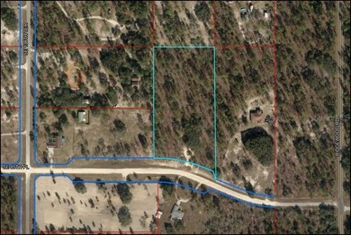 Bonable Lake Acreage For Sale in Dunnellon Florida