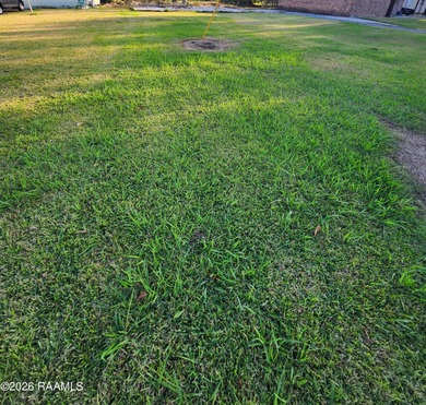 (private lake, pond, coastal) Lot Sale Pending in Patterson Louisiana