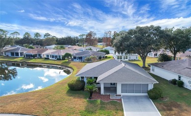 (private lake, pond, coastal) Home Sale Pending in Leesburg Florida