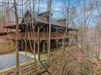 Lake Home For Sale in Ellijay, Georgia