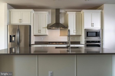 Brand-New Miller & Smith Elevator Brownstone-one of only FOUR - photo 5