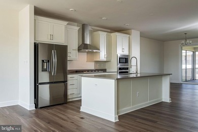 Brand-New Miller & Smith Elevator Brownstone-one of only FOUR - photo 6