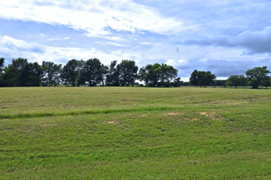 3 LOTS TOTALING 3.54 ACRES ACROSS THE STREET FROM LAKE FORK - photo 5