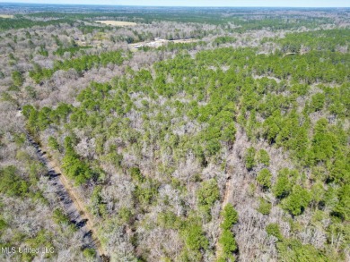 Lake Acreage For Sale in Poplarville, Mississippi