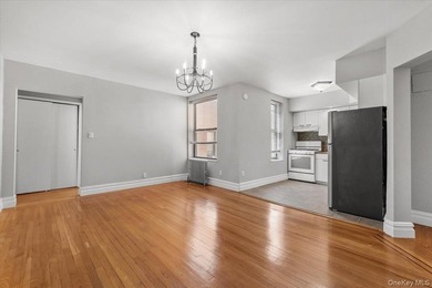 Welcome to this bright and spacious 1-bedroom co-op located on - photo 8