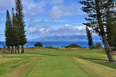 Welcome to 116 Pulelehua Street in Pineapple Hill Estates, where - photo 8
