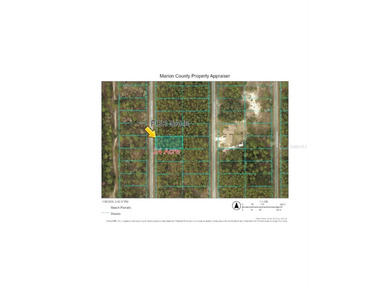 Bonable Lake Lot For Sale in Dunnellon Florida