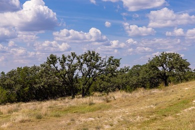 This 12.03-acre tract features a 75-foot elevation change - photo 17