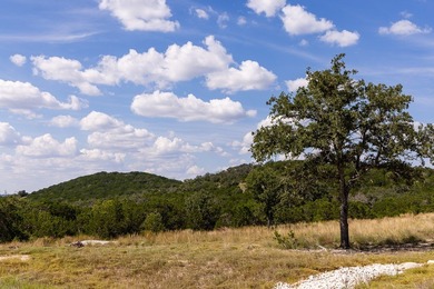 This 12.03-acre tract features a 75-foot elevation change - photo 19