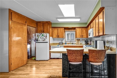 * *MOVE IN READY CORNER LOT WITH TIKI ROOM AND LARGE YARD.* - photo 21
