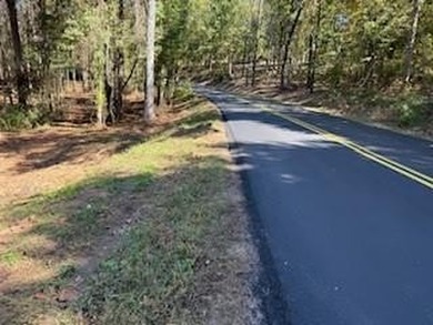 Lake Lanier Lot For Sale in Gainesville Georgia