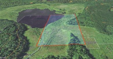 (private lake, pond, creek) Acreage For Sale in Britt Minnesota