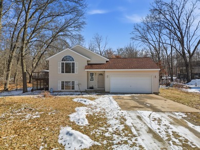 Indian Lake - Montcalm County Home Sale Pending in Howard City Michigan