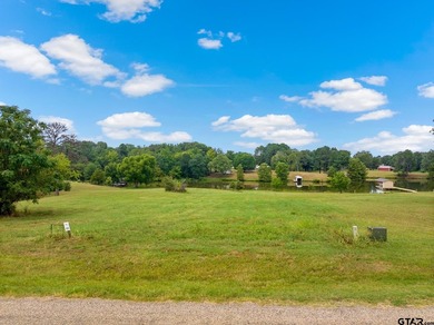 Build your dream lake retreat on this stunning 1.13-acre - photo 5