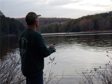 Lake Acreage For Sale in Laurens, New York