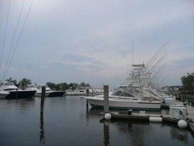 17.5 x 60 foot boat slip at Ripley Marina. Great location, easy - photo 1