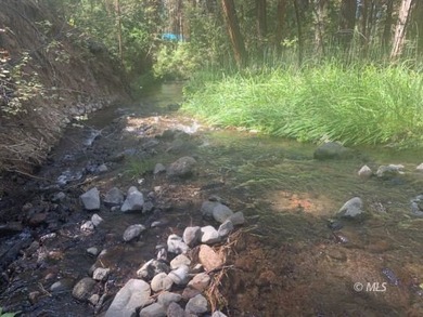 (private lake, pond, coastal) Lot For Sale in Adin California