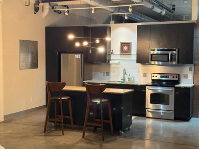 Historic CW Lofts in NE Minneapolis, 4th-floor gem unveils a - photo 3