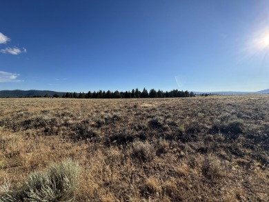Sprague River Lot For Sale in Sprague River Oregon