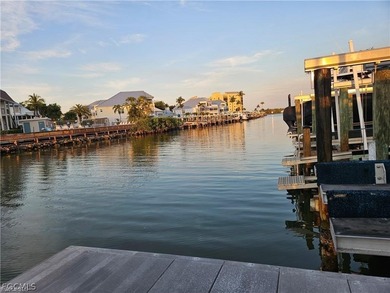 An excellent opportunity to own Boat Dock #82 at Hibiscus Pointe - photo 9