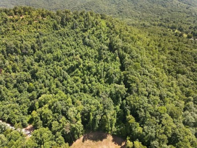 Lake Chatuge Acreage For Sale in Hiawassee Georgia