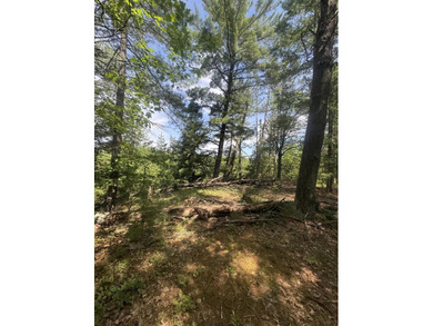 Escape to the natural beauty of Northern Michigan with this - photo 11