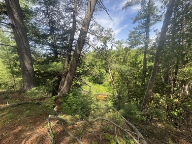 Escape to the natural beauty of Northern Michigan with this - photo 12