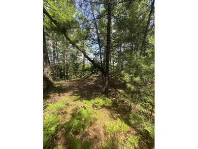 Escape to the natural beauty of Northern Michigan with this - photo 14