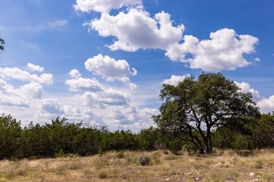 This 12.03-acre tract features a 75-foot elevation change - photo 15