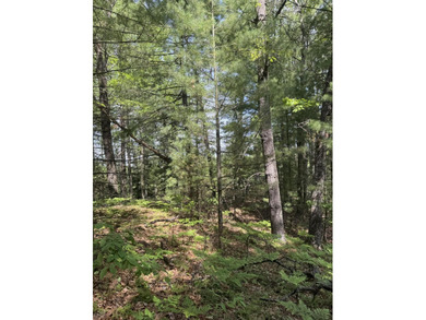 Escape to the natural beauty of Northern Michigan with this - photo 15