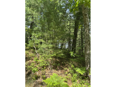 Escape to the natural beauty of Northern Michigan with this - photo 16