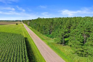 Improved waterfront lot with breathtaking views on Wisconsin's - photo 7