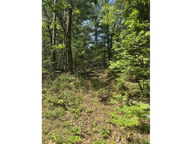 Escape to the natural beauty of Northern Michigan with this - photo 17