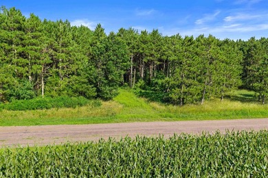 Improved waterfront lot with breathtaking views on Wisconsin's - photo 8