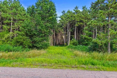 Improved waterfront lot with breathtaking views on Wisconsin's - photo 9
