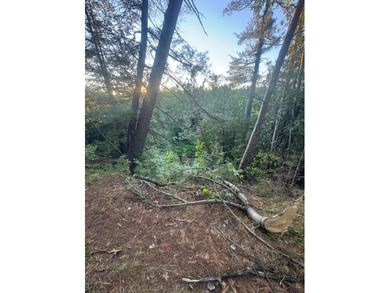 Escape to the natural beauty of Northern Michigan with this - photo 19