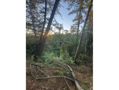 Escape to the natural beauty of Northern Michigan with this - photo 20