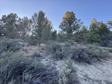 Sprague River Lot For Sale in Sprague River Oregon