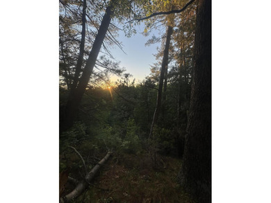 Escape to the natural beauty of Northern Michigan with this - photo 21